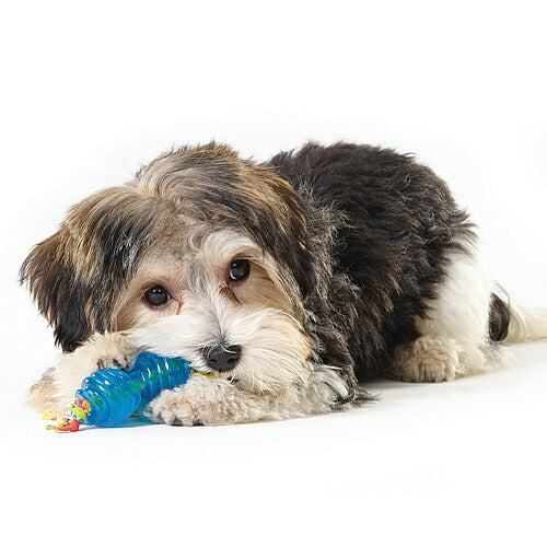 ペットステージ プチ オルカ チューセット 犬用品/ペットグッズ/ペット用品