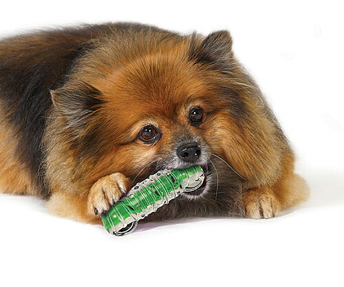 ペットステージ クランチコア ボーン ミディアム 犬用品/ペットグッズ/ペット用品