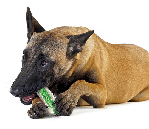 ペットステージ クランチコア ボーン ラージ 犬用品/ペットグッズ/ペット用品