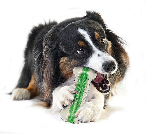 ペットステージ クランチコア ボーン ジャイアント 犬用品/ペットグッズ/ペット用品