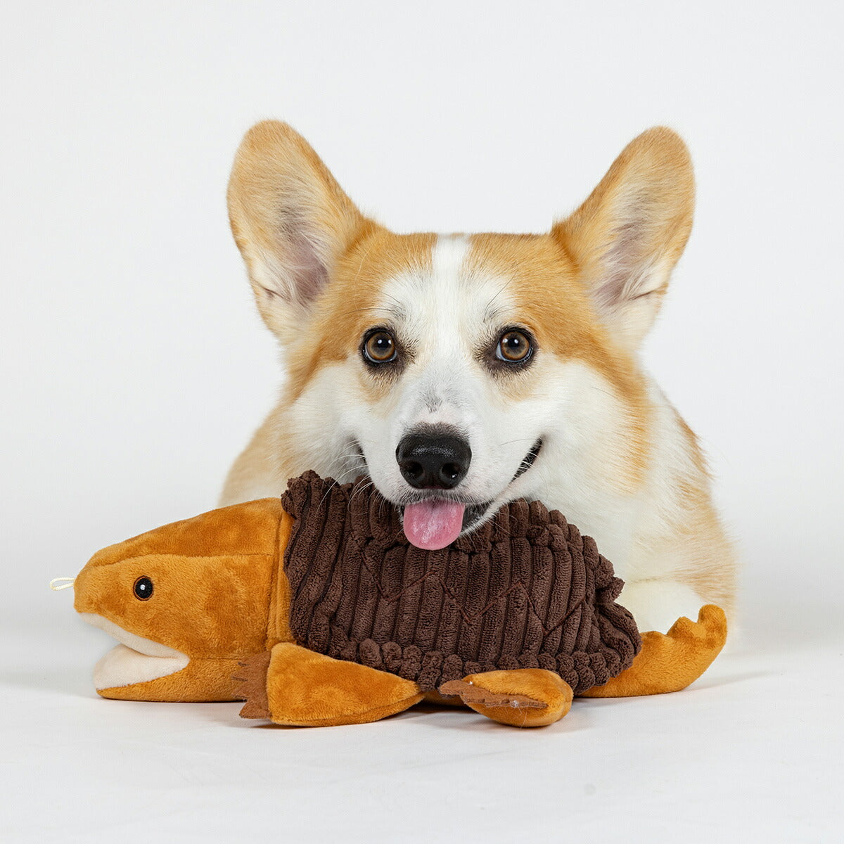 トール・テイルズ TALL TAILS クランチ・トイ タートル 犬 おもちゃ ぬいぐるみ カメ 音が鳴る サスティナブル