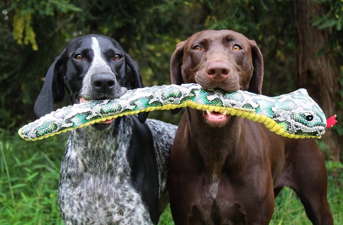 トール・テイルズ TALL TAILS クランチ・トイ スネイク 犬 おもちゃ ぬいぐるみ ヘビ 音が鳴る サスティナブル