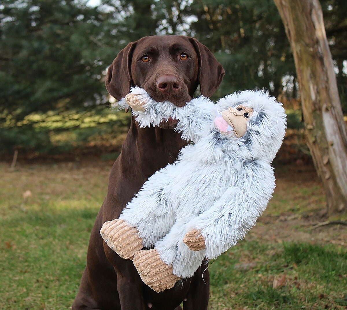 トール・テイルズ TALL TAILS プラッシュ・トイ イェティ 犬 おもちゃ ぬいぐるみ ふわふわ 音が鳴る ロープ 大きめ
