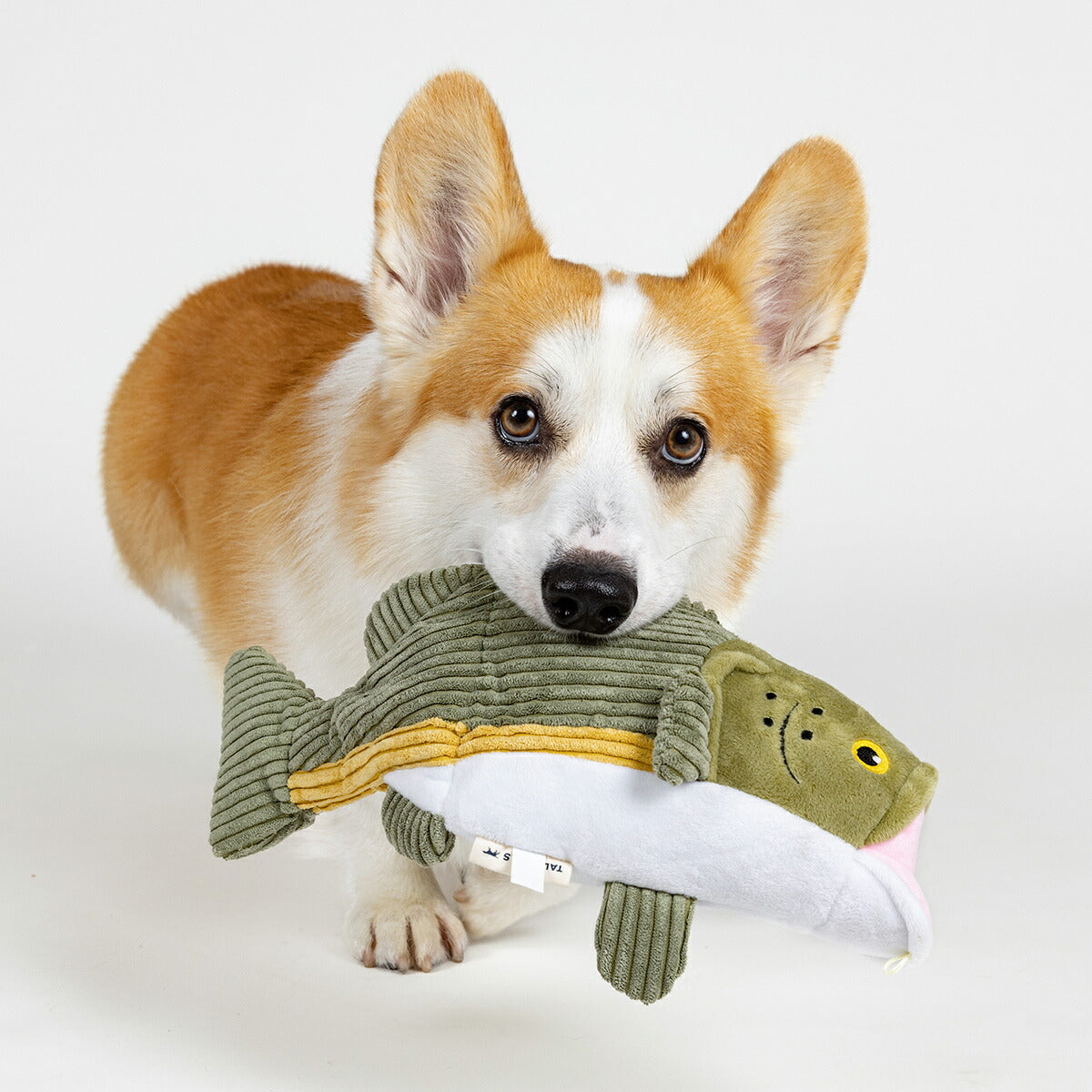 トール・テイルズ TALL TAILS フラップ・トイ バス 犬 おもちゃ ぬいぐるみ 動く 魚 電池不使用 サスティナブル