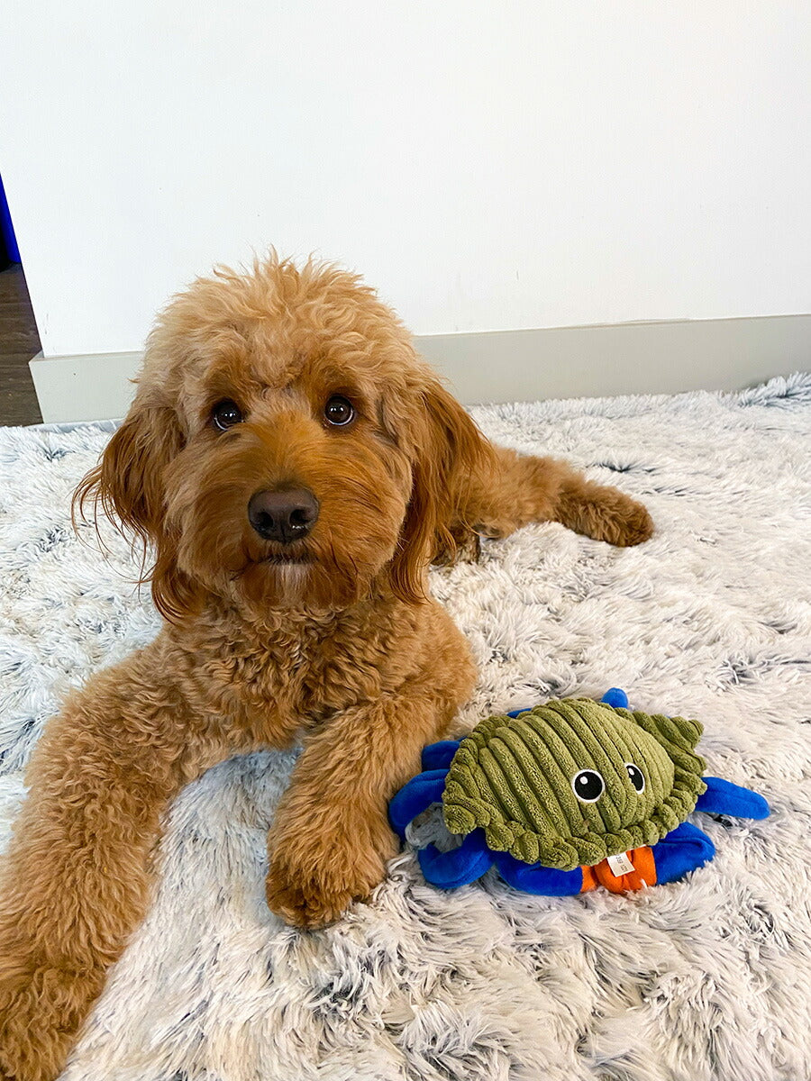 トール・テイルズ TALL TAILS フラップ・トイ クラブ 犬 おもちゃ ぬいぐるみ 動く カニ 電池不使用 サスティナブル
