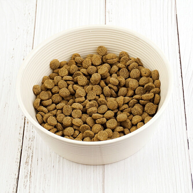 ナチュラルハーベスト ドッグフード 食事療法食 レジーム スモール ラム 成犬・シニア犬用 100g 無添加 ダイエット 体重管理