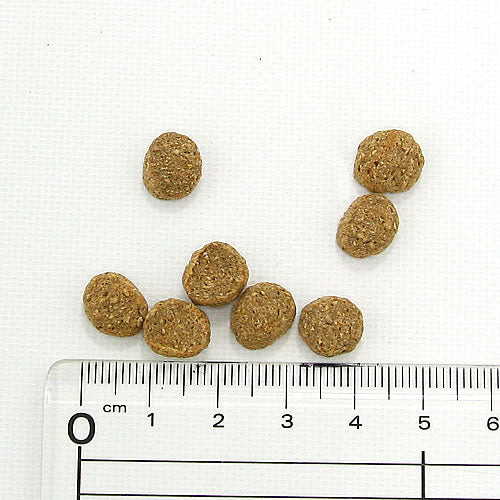 ナチュラルハーベスト レジーム ポータブルパック 100g×30袋 セラピューティックフォーミュラ ダイエット用食事療法食 無添加 ペット用品 送料無料 ※クーポン対象外