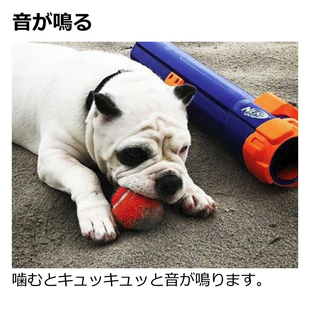 リッチェル Richell ナーフドッグ ストライクシューター 16i【送料無料】 犬用おもちゃ ドッグトイ ボール