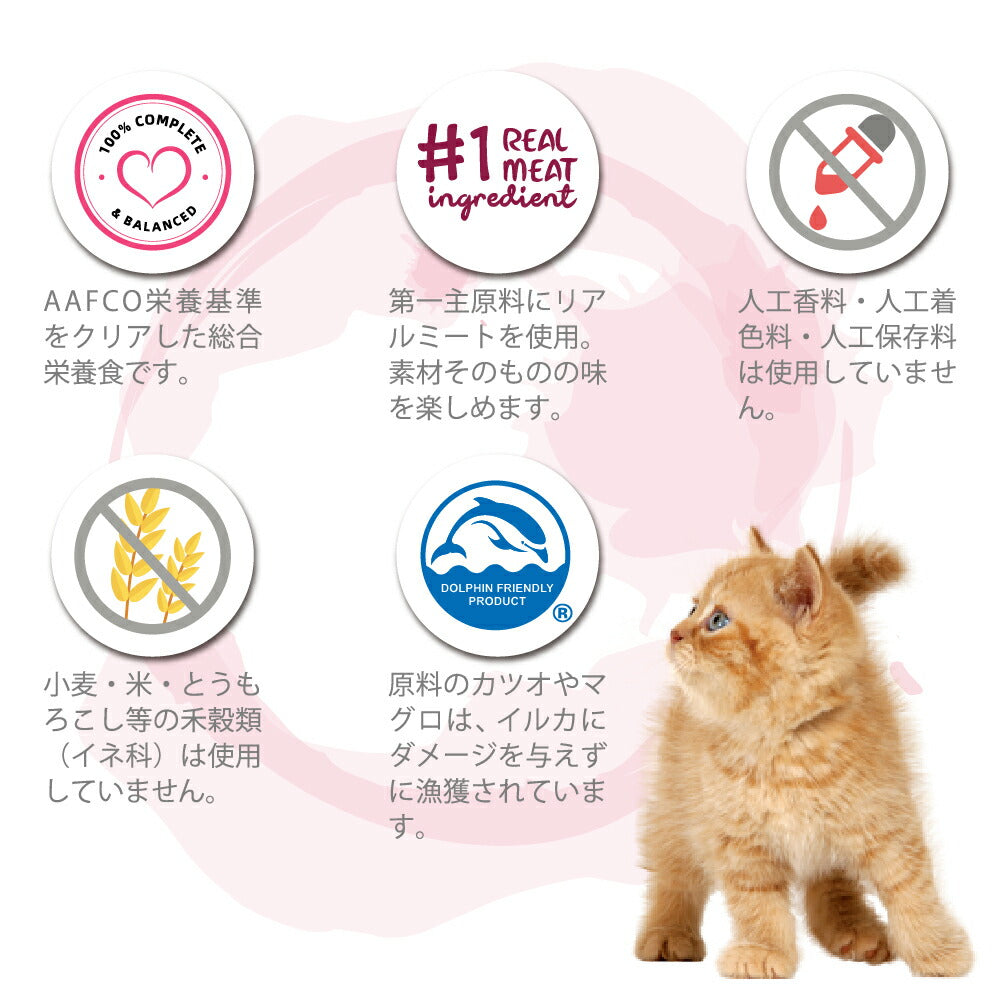 シグネチャー7 さば&かぼちゃ 70g 無添加 ネコ 猫 総合栄養食 グレインフリー グレイビー