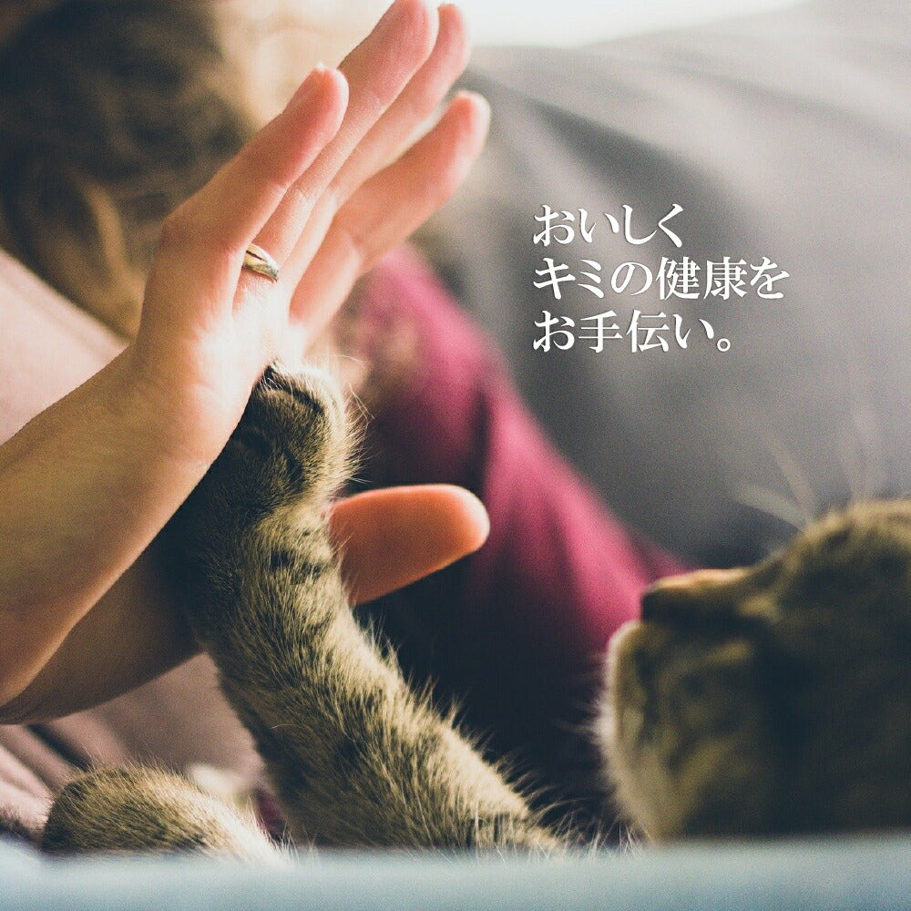 シグネチャー7 さば&えび(かにかま入り) 70g 無添加 ネコ 猫 総合栄養食 グレインフリー グレイビー