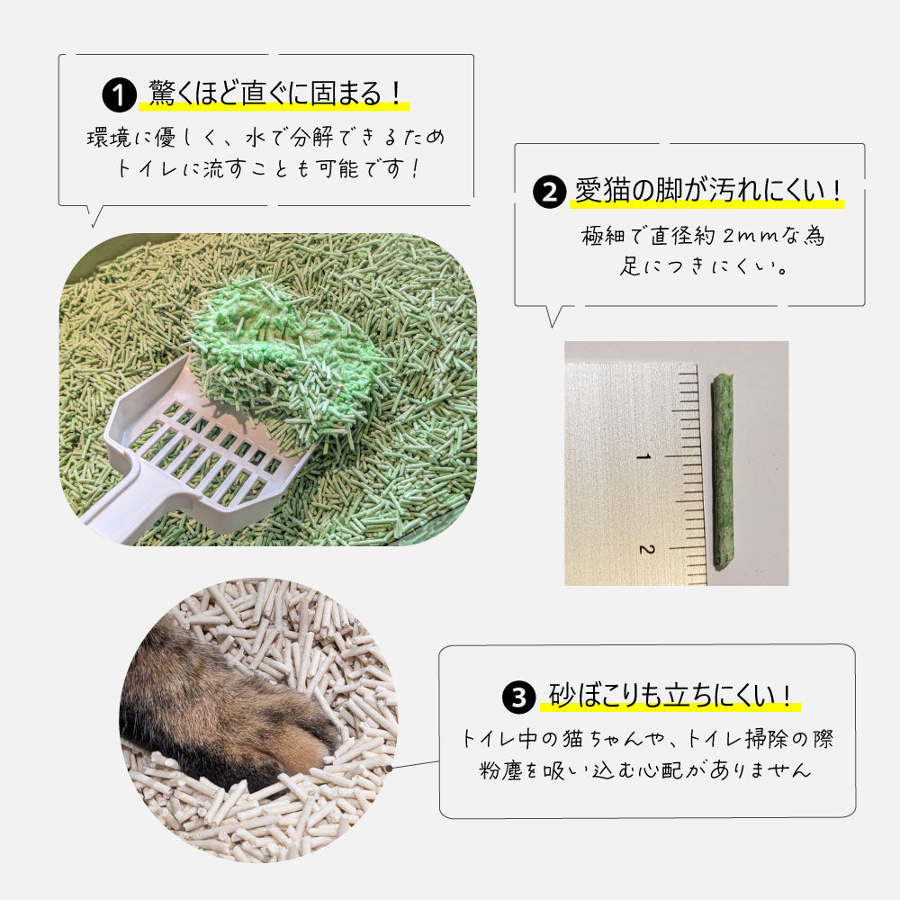 シグネチャー7 キャットリター PEAS グリーンティー(緑茶) 猫砂 4L