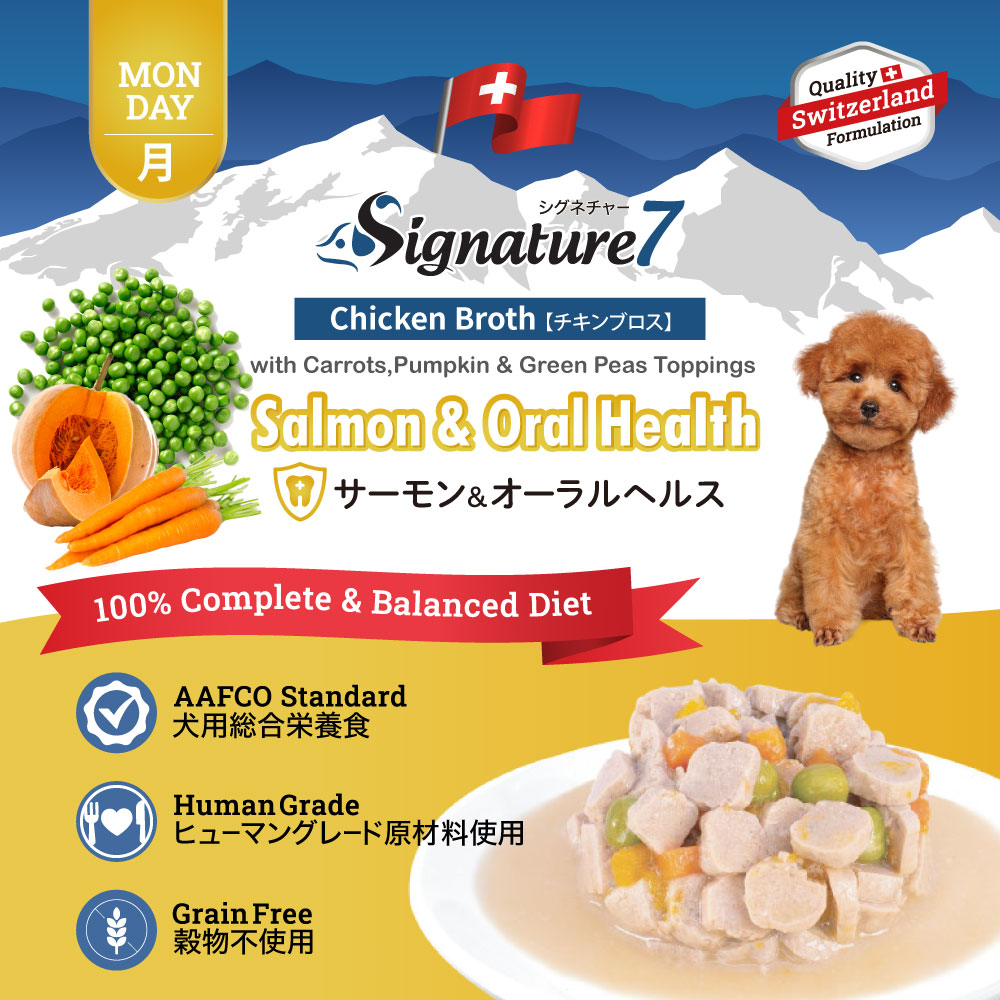 シグネチャー7 ドッグフード ウェットフード サーモン&オーラルヘルス(月)80g×6個 総合栄養食 無添加 グレインフリー 穀物不使用 犬 カップ