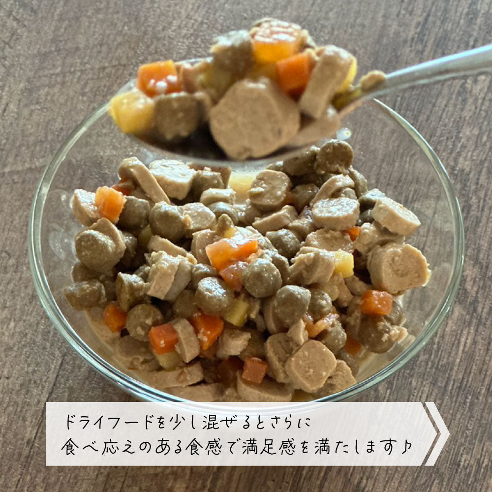 シグネチャー7 ドッグフード ウェットフード サーモン&オーラルヘルス(月)80g 総合栄養食 無添加 グレインフリー 穀物不使用 犬 カップ