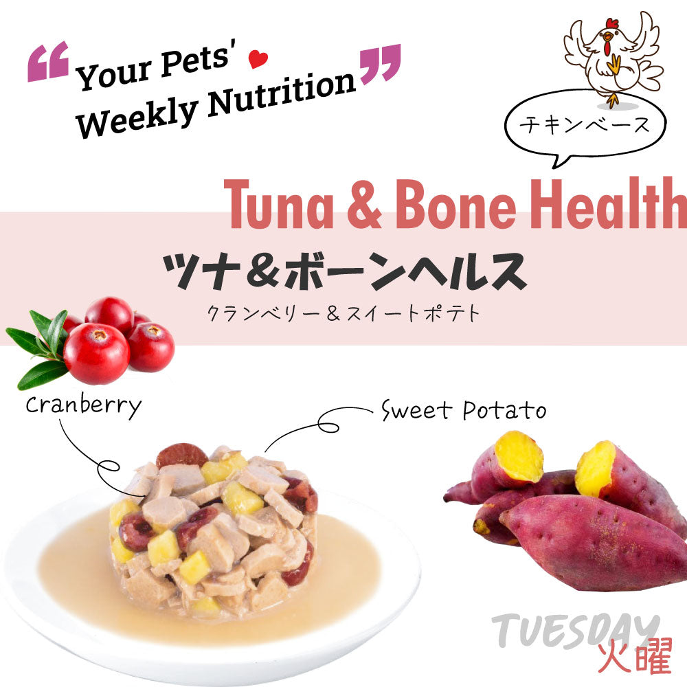 シグネチャー7 ドッグフード ウェットフード ツナ&ボーンヘルス (火)80g 総合栄養食 無添加 グレインフリー 穀物不使用 犬 カップ