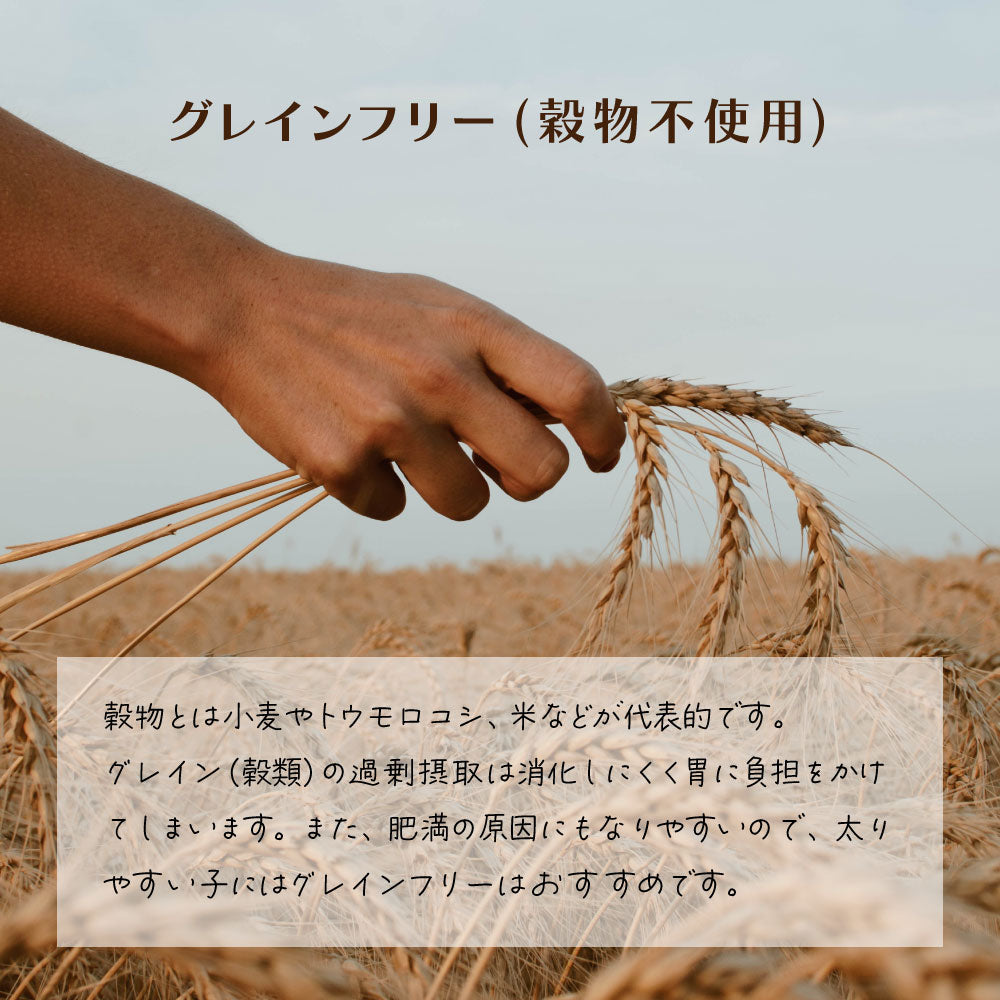 シグネチャー7 ドッグフード ウェットフード チキン&ウエイトヘルス (水)80g×6個 総合栄養食 無添加 グレインフリー 穀物不使用 犬 カップ