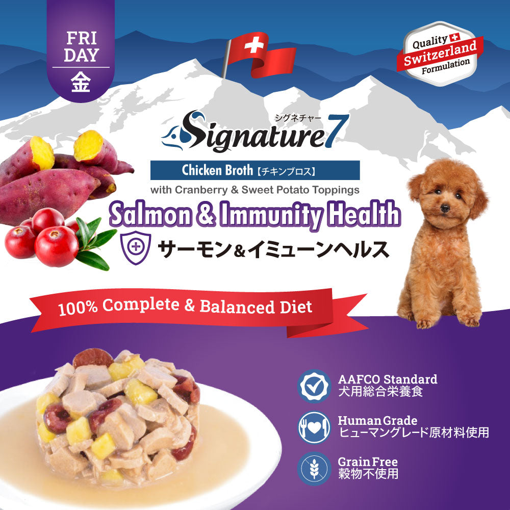 シグネチャー7 ドッグフード ウェットフード サーモン&イミューンヘルス (金)80g 総合栄養食 無添加 グレインフリー 穀物不使用 犬 カップ