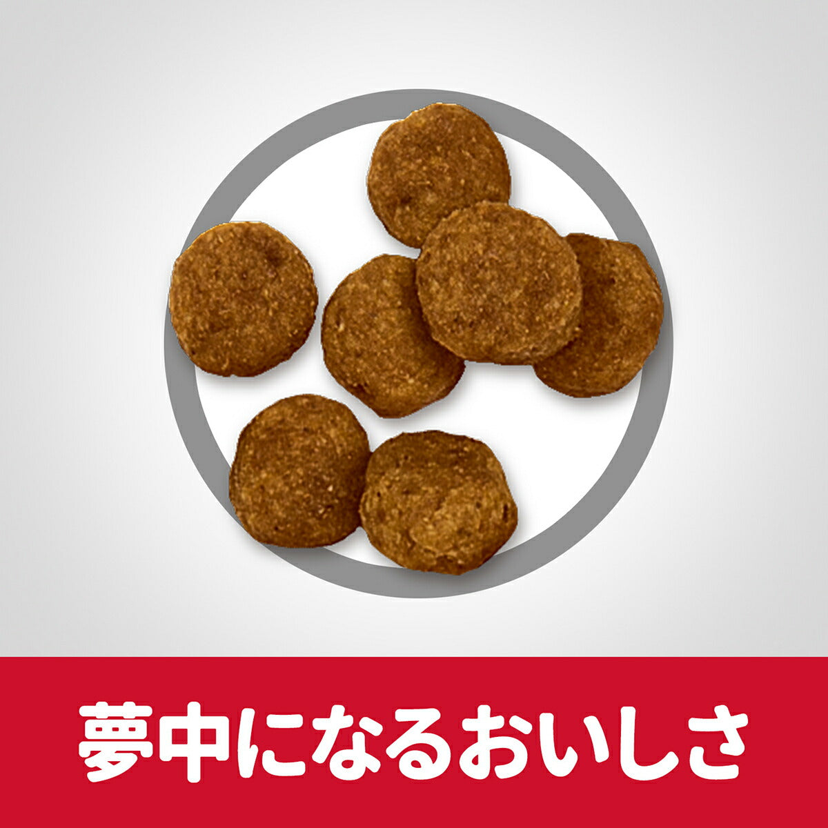 サイエンス・ダイエット アダルト 小粒 成犬用 1~6歳 チキン 6.5kg ヒルズ ドッグフード ドライフード 総合栄養食 着色料・香料不使用