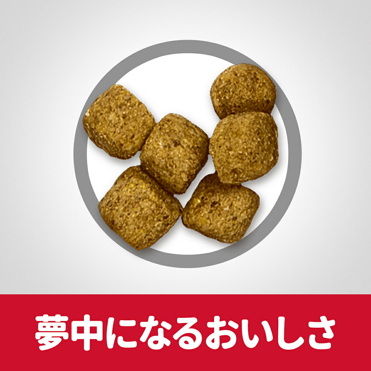サイエンス・ダイエット シニア ライト 小粒 肥満傾向の高齢犬用 7歳以上 チキン 1.4kg ヒルズ ドッグフード ドライフード 総合栄養食 着色料・香料不使用