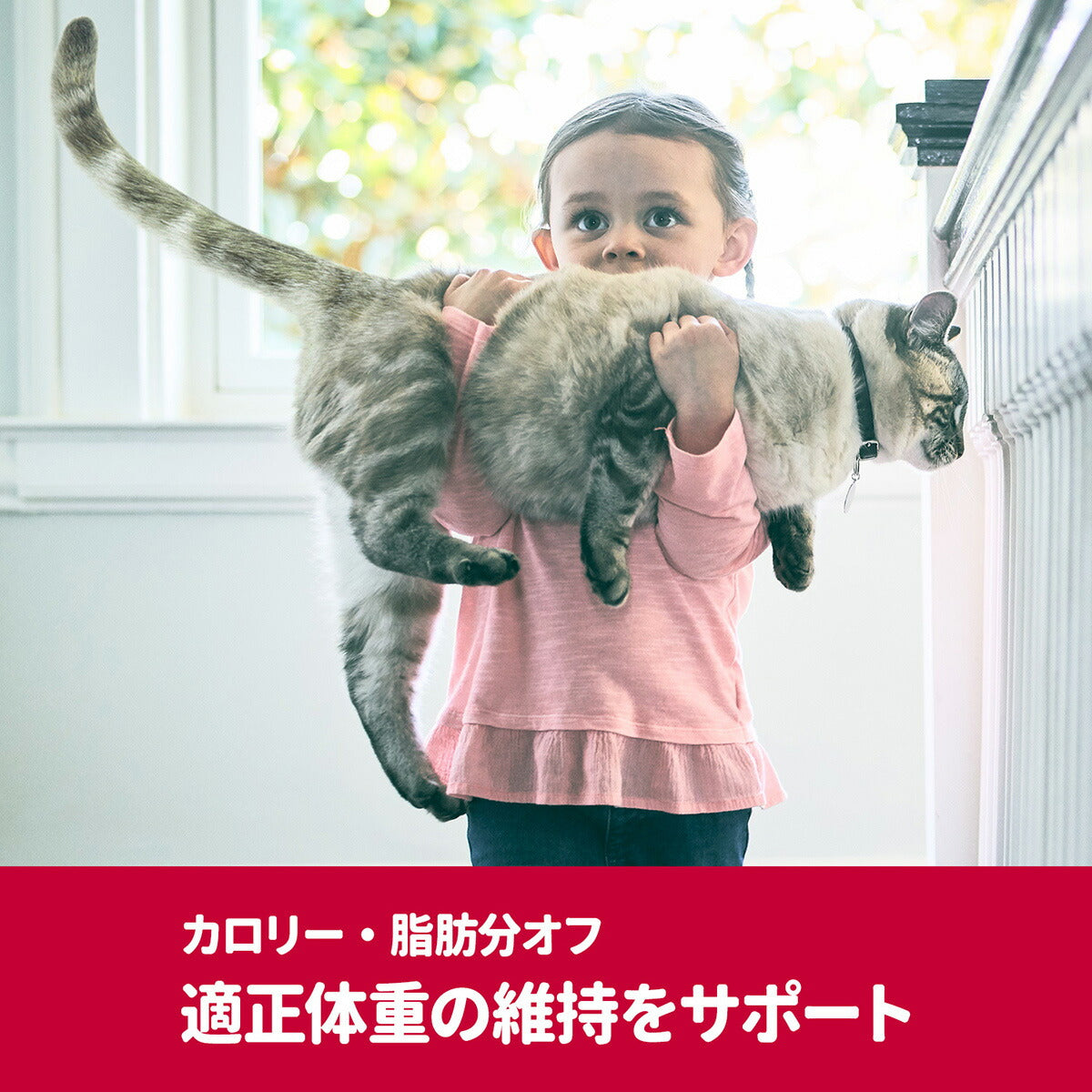 サイエンス・ダイエットプロ 猫用 健康ガード 体重管理 1~6歳 3kg ヒルズ キャットフード ドライフード 総合栄養食 着色料・香料不使用