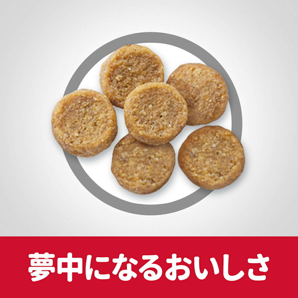 サイエンス・ダイエット アダルト チキン 成猫用 1~6歳 400g ヒルズ キャットフード ドライフード 総合栄養食 着色料・香料不使用