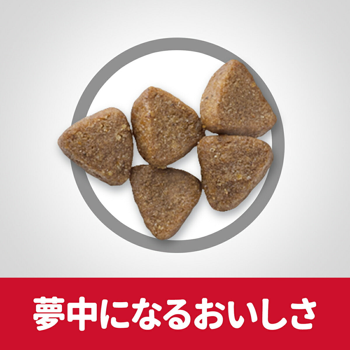 サイエンス・ダイエット キトン チキン 子ねこ用 12ヶ月まで 800g ヒルズ キャットフード ドライフード 総合栄養食 着色料・香料不使用