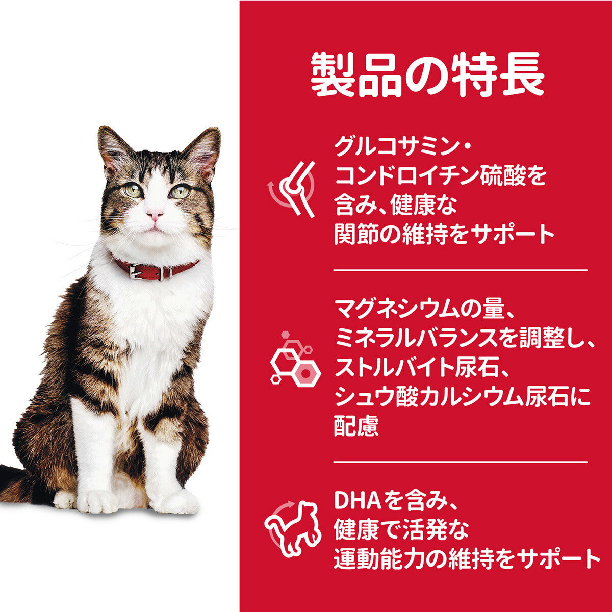サイエンス・ダイエット シニアアドバンスド チキン 高齢猫用 14歳以上 800g ヒルズ キャットフード ドライフード 総合栄養食 着色料・香料不使用