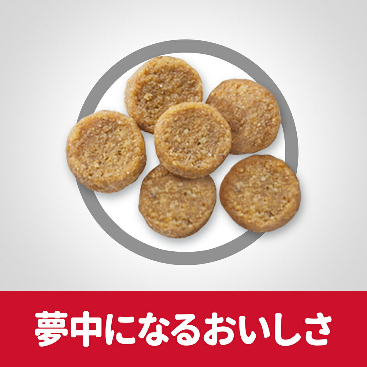 サイエンス・ダイエット アダルト まぐろ 成猫用 1~6歳 800g ヒルズ キャットフード ドライフード 総合栄養食 着色料・香料不使用