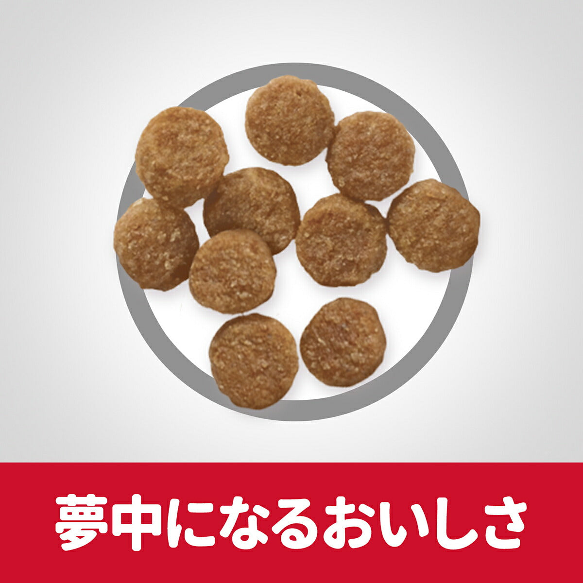 サイエンス・ダイエット パピー 小型犬用 子いぬ用 12ヶ月まで チキン 750g ヒルズ ドッグフード ドライフード 総合栄養食 着色料・香料不使用