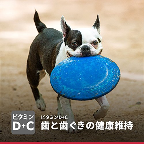 サイエンス・ダイエット アダルト 小型犬用 成犬用 1~6歳 チキン 1.5kg ヒルズ ドッグフード ドライフード 総合栄養食 着色料・香料不使用