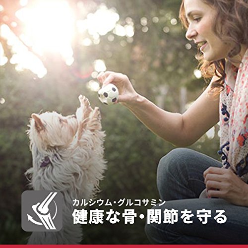 サイエンス・ダイエット シニア 小型犬用 高齢犬用 7歳以上 チキン 1.5kg ヒルズ ドッグフード ドライフード 総合栄養食 着色料・香料不使用