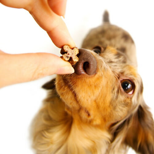 鹿肉五膳 ライト 200g 犬用品/ペットグッズ/ペット用品