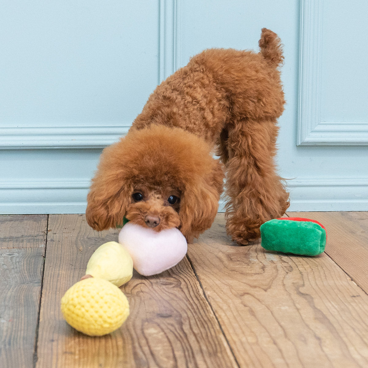 ソルグラ Solgra 犬のおもちゃ かんむりパイン イエロー