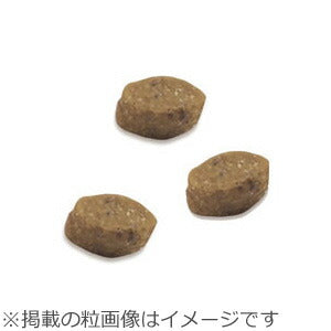 ニュートロ シュプレモ ドッグフード 超小型犬 成犬用 4kg NUTOR ドッグフード 無添加 ごはん プレミアム ナチュラル