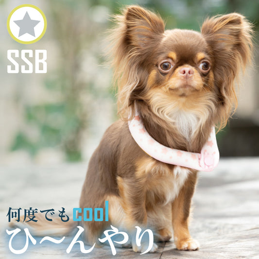 28°ICE 2023SUOリング ボタン付き SSB イエロー(リフレクター) クールリング 犬 熱中症対策 猫 ペット 暑さ対策 スオ