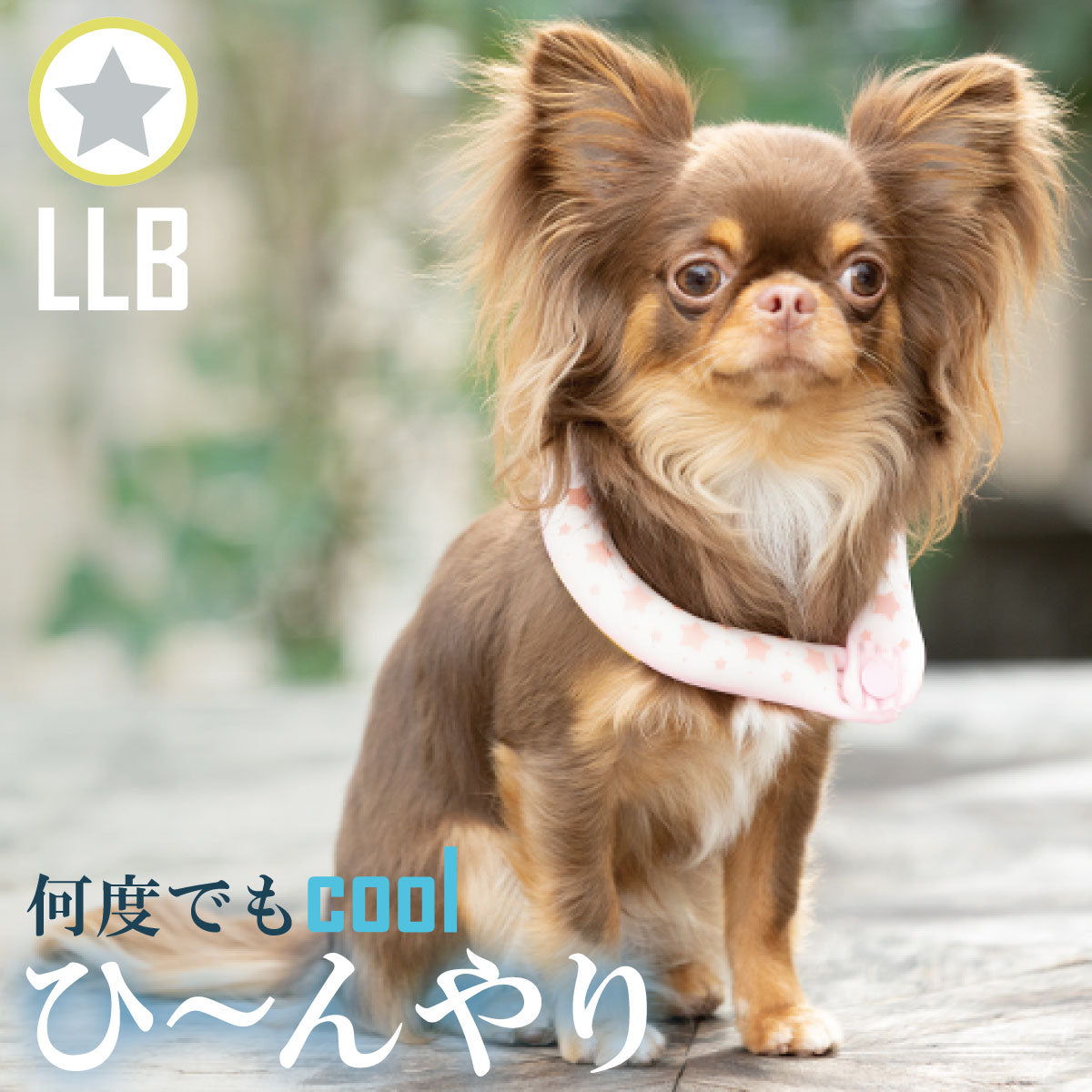 28°ICE 2023SUOリング ボタン付き LLB イエロー(リフレクター)【送料無料】 クールリング 犬 熱中症対策 猫 ペット 暑さ対策 人兼用 スオ
