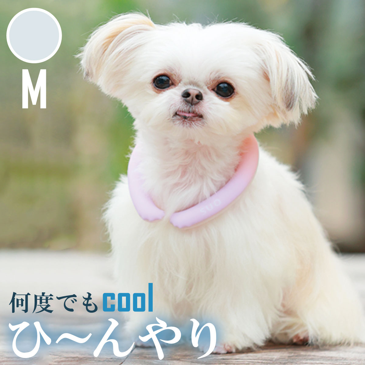 28°ICE 2023SUOリング ボタンなし チェック柄 M ベビーブルー クールリング 犬 熱中症対策 猫 ペット 暑さ対策 人兼用 スオ