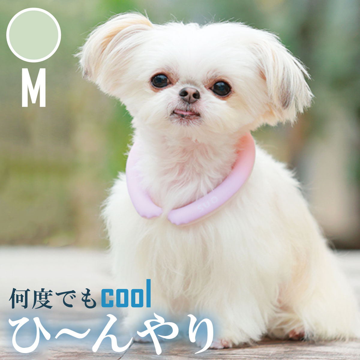 28°ICE 2023SUOリング ボタンなし チェック柄 M マスカットグリーン クールリング 犬 熱中症対策 猫 ペット 暑さ対策 人兼用 スオ