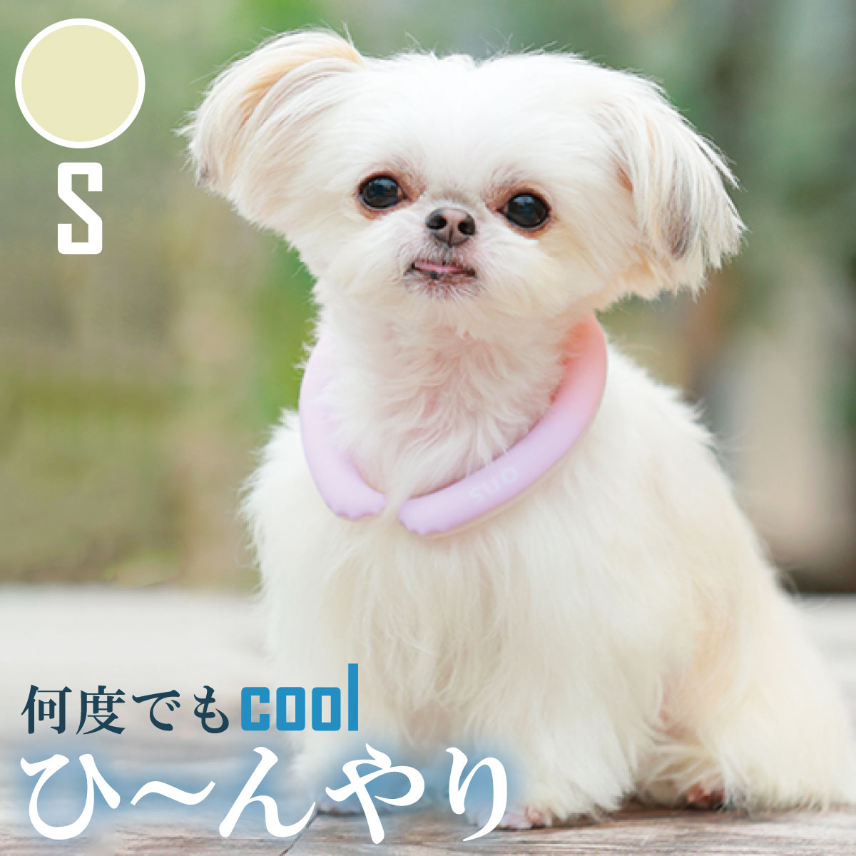 28°ICE 2023SUOリング ボタンなし チェック柄 S レモン クールリング 犬 熱中症対策 猫 ペット 暑さ対策 スオ