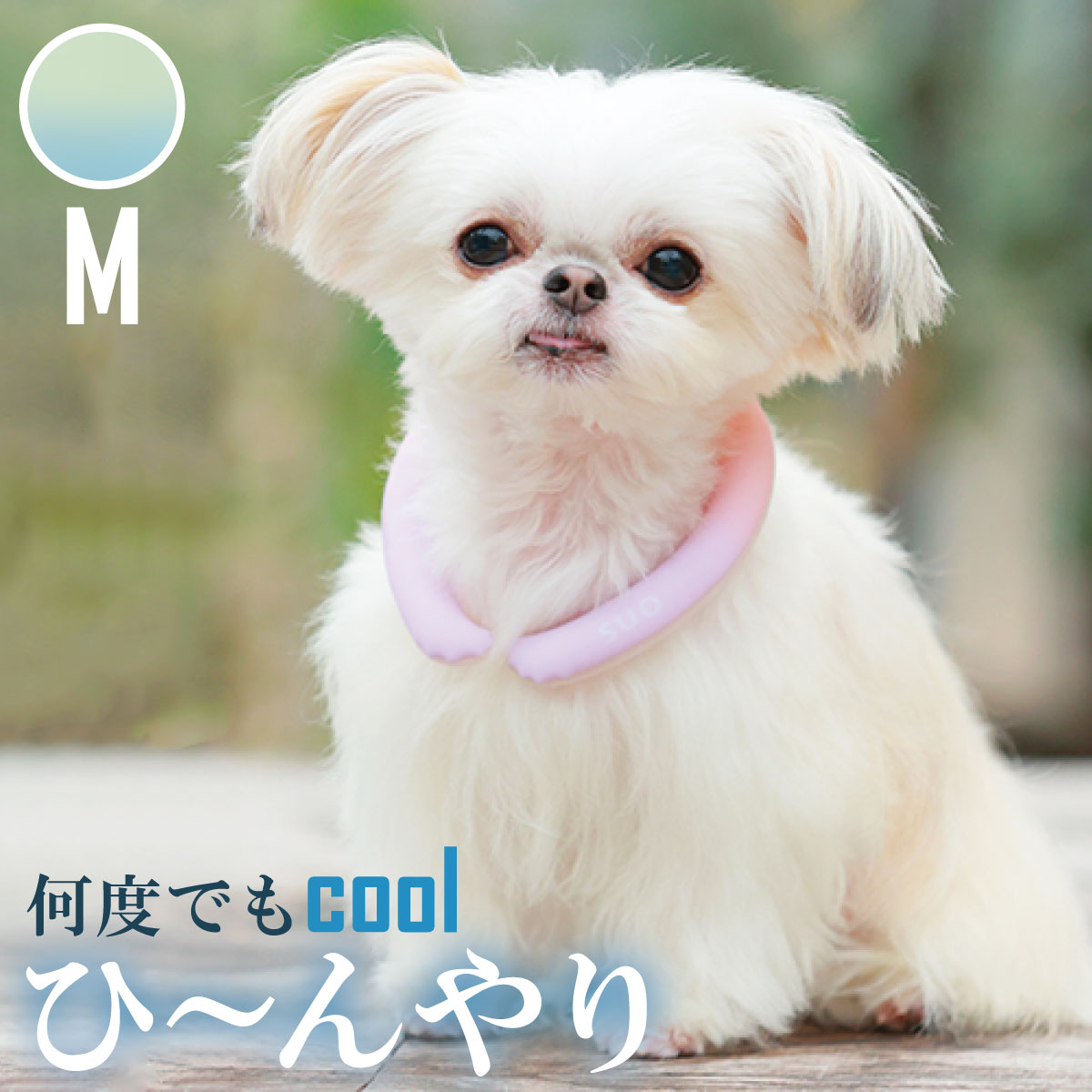 28°ICE 2023SUOリング ボタンなし グラデーション M ピスタチオグリーン クールリング 犬 熱中症対策 猫 ペット 暑さ対策 人兼用 スオ