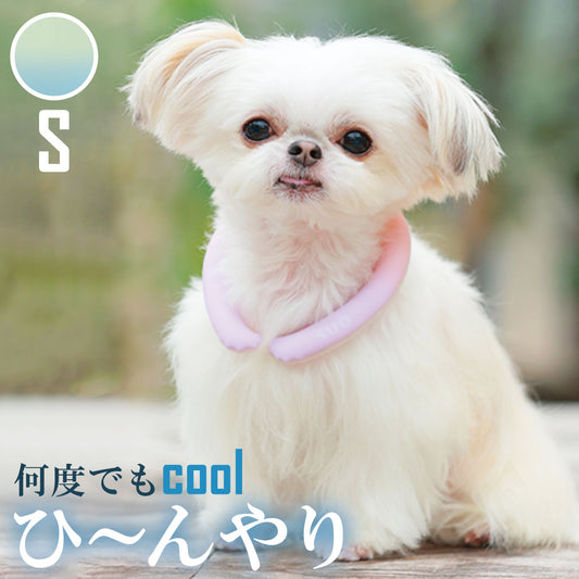 28°ICE 2023SUOリング ボタンなし グラデーション S ピスタチオグリーン クールリング 犬 熱中症対策 猫 ペット 暑さ対策 スオ