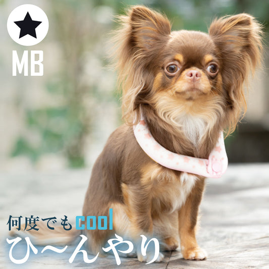 28°ICE 2023SUOリング ボタン付き MB ブラック クールリング 犬 熱中症対策 猫 ペット 暑さ対策 人兼用 スオ