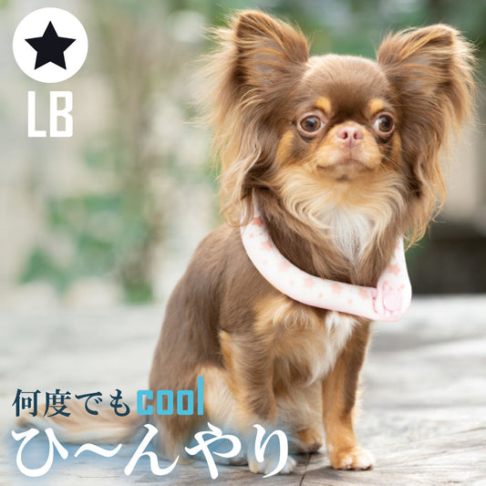 28°ICE 2023SUOリング ボタン付き LB ブラック クールリング 犬 熱中症対策 猫 ペット 暑さ対策 人兼用 スオ