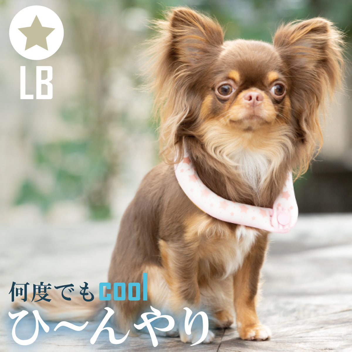 28°ICE 2023SUOリング ボタン付き LB エクルベージュ クールリング 犬 熱中症対策 猫 ペット 暑さ対策 人兼用 スオ