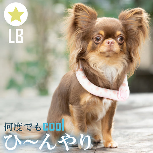 28°ICE 2023SUOリング ボタン付き LB レモンイエロー クールリング 犬 熱中症対策 猫 ペット 暑さ対策 人兼用 スオ