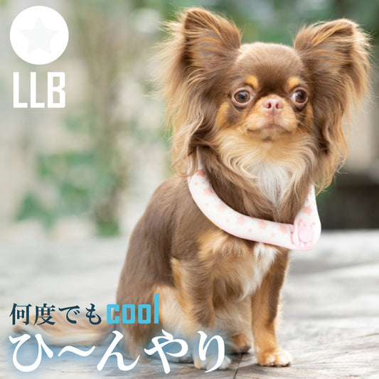 28°ICE 2023SUOリング ボタン付き LLB ピュアホワイト【送料無料】 クールリング 犬 熱中症対策 猫 ペット 暑さ対策 人兼用 スオ