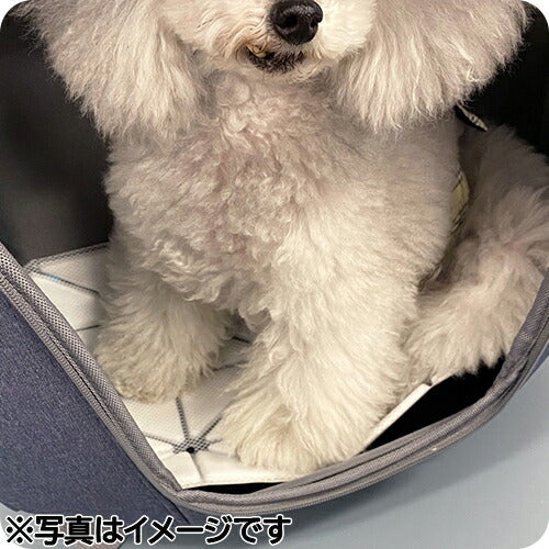 SUO 28°ICE SUOマット2 ライトベージュ