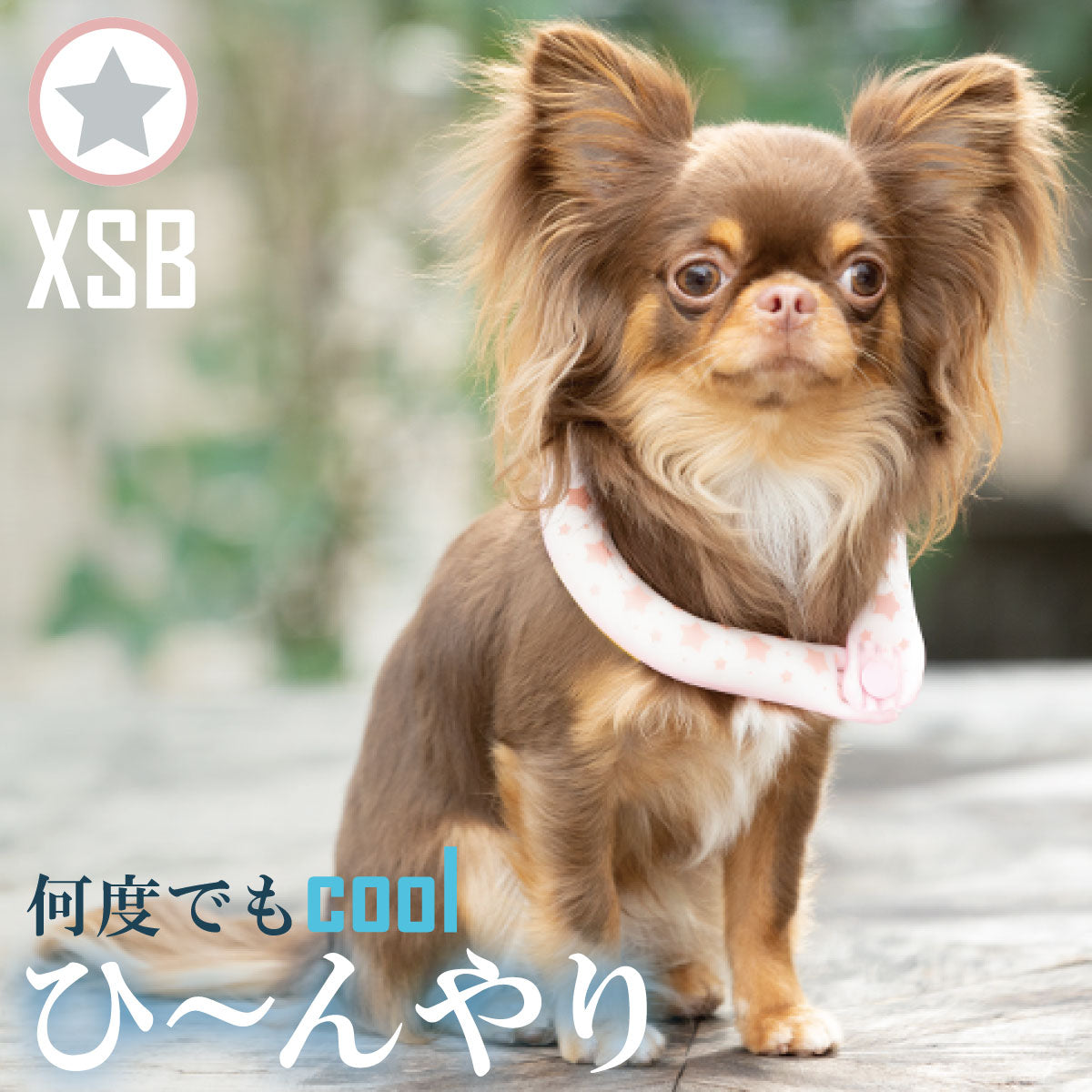 28°ICE 2023SUOリング ボタン付き XSB ピンク(リフレクター) クールリング 犬 熱中症対策 猫 ペット 暑さ対策 スオ
