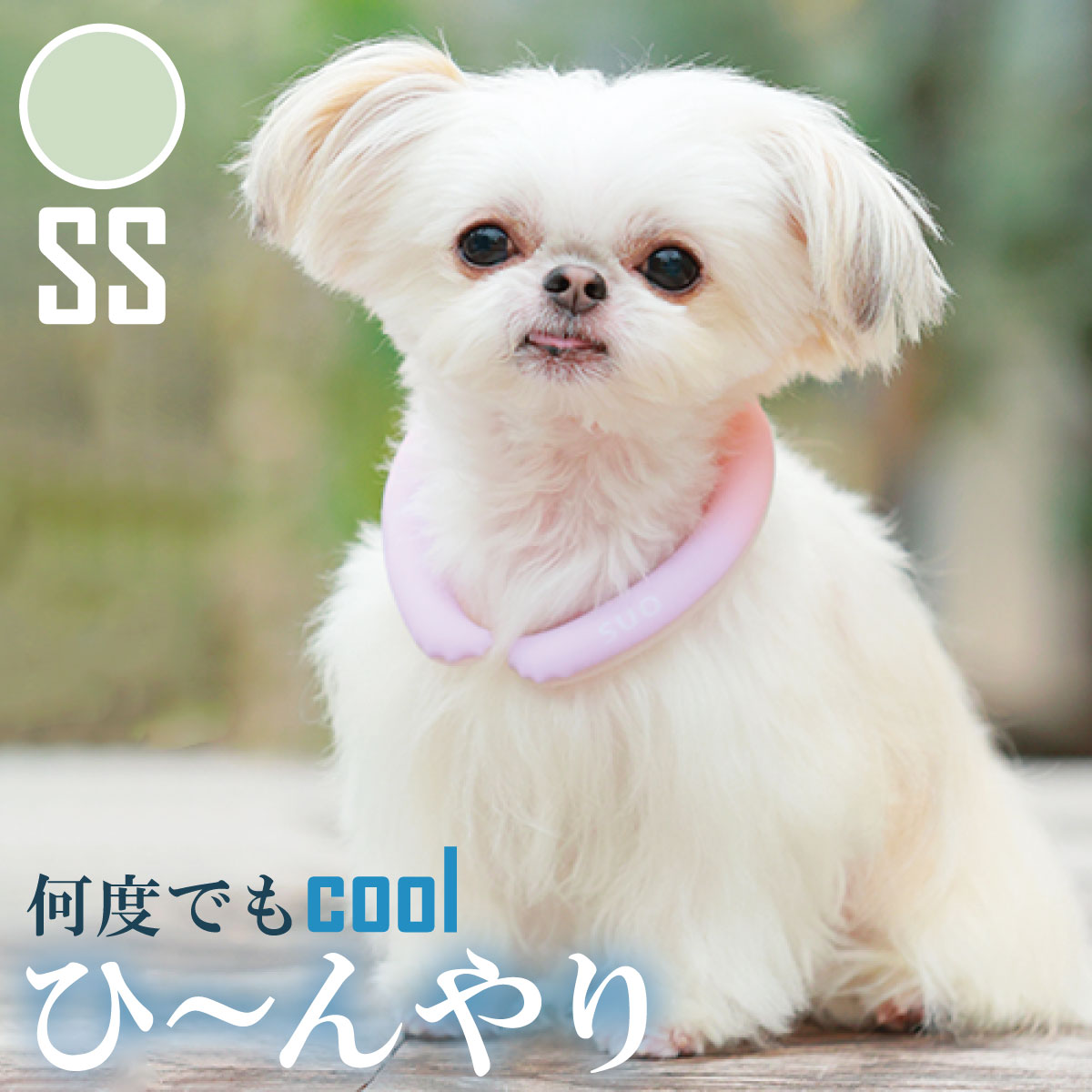 28°ICE 2023SUOリング ボタンなし チェック柄 SS マスカットグリーン クールリング 犬 熱中症対策 猫 ペット 暑さ対策 スオ