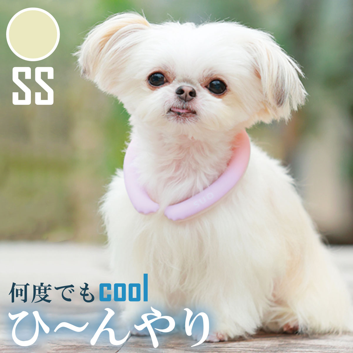 28°ICE 2023SUOリング ボタンなし チェック柄 SS レモン クールリング 犬 熱中症対策 猫 ペット 暑さ対策 スオ