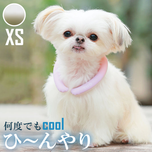 28°ICE 2023SUOリング ボタンなし グラデーション XS エクリュホワイト クールリング 犬 熱中症対策 猫 ペット 暑さ対策 スオ